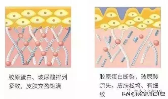 bbc沙棘面霜 (老爸评测bbc面霜)