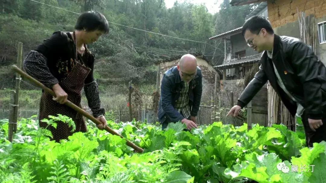 龙岩市人大代表程千茂：辛勤履职助力智慧农村建设