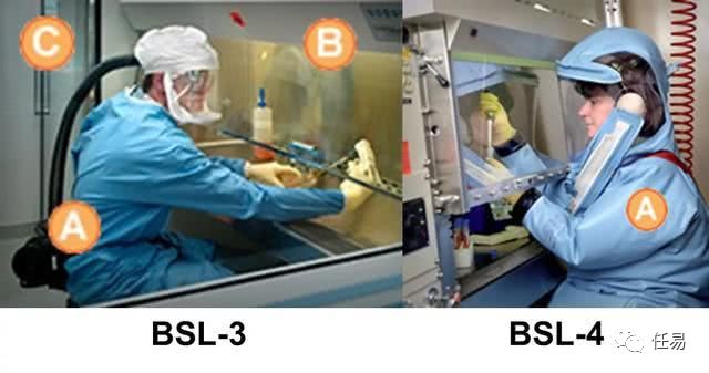 中国新冠为什么控制这么好,新冠病毒是不是地球的自我拯救