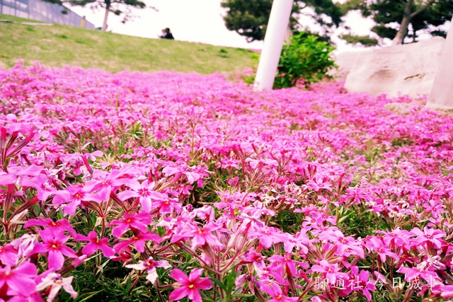 聊城一对硕士夫妻入职临沂引发讨论：不舍得本钱，哪能留得住人才