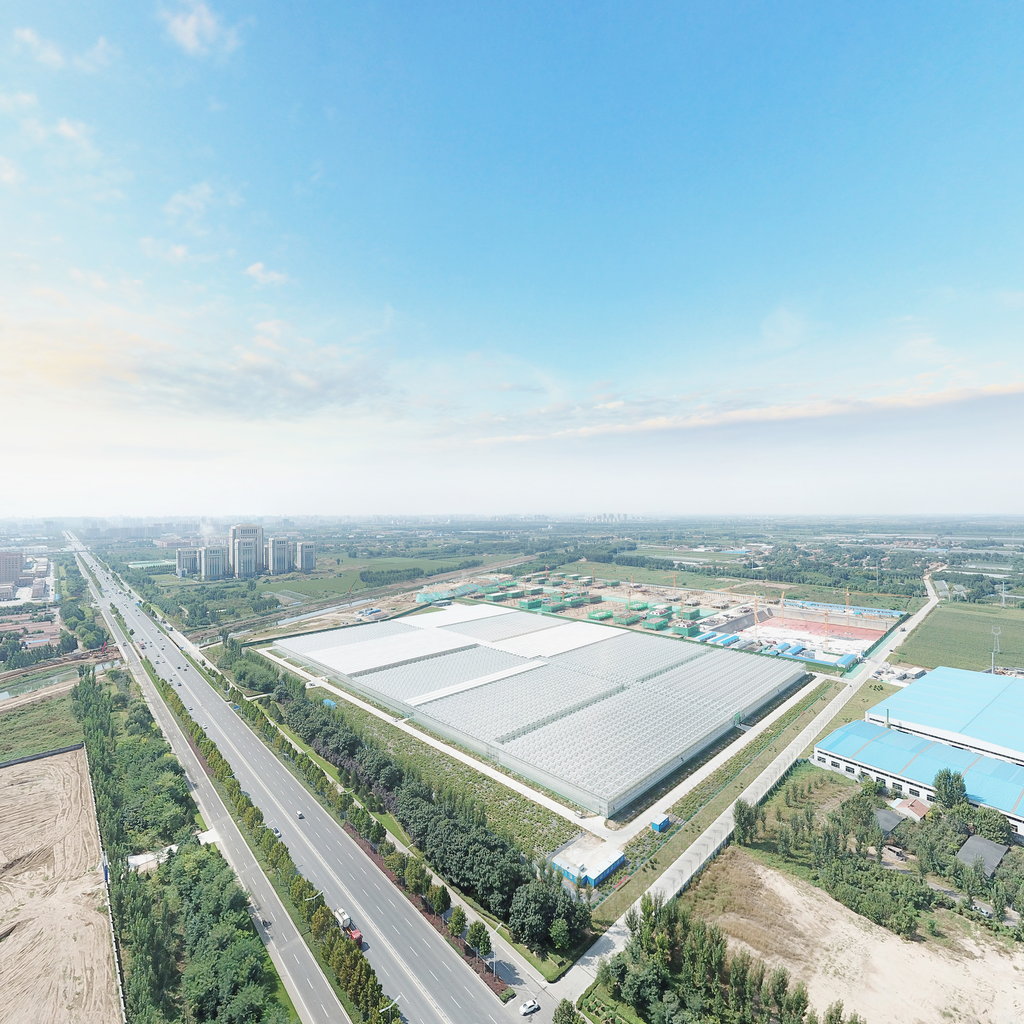 农业连栋温室大棚补贴标准,吉林连栋温室大棚一亩地多少钱