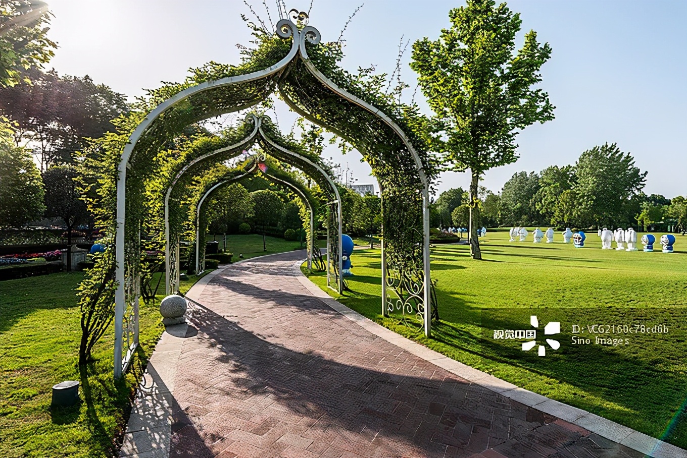 庭院植物设计搭配方法,庭院设计花草搭配