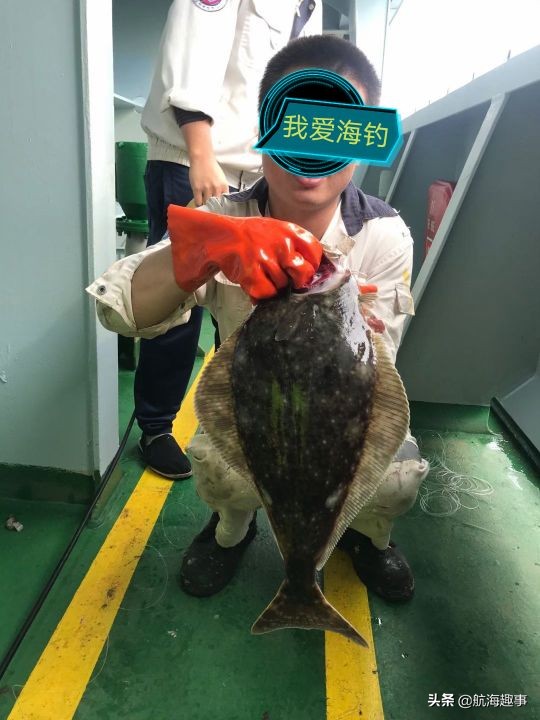 航海船舶有趣科普,老船长带你了解海员生活