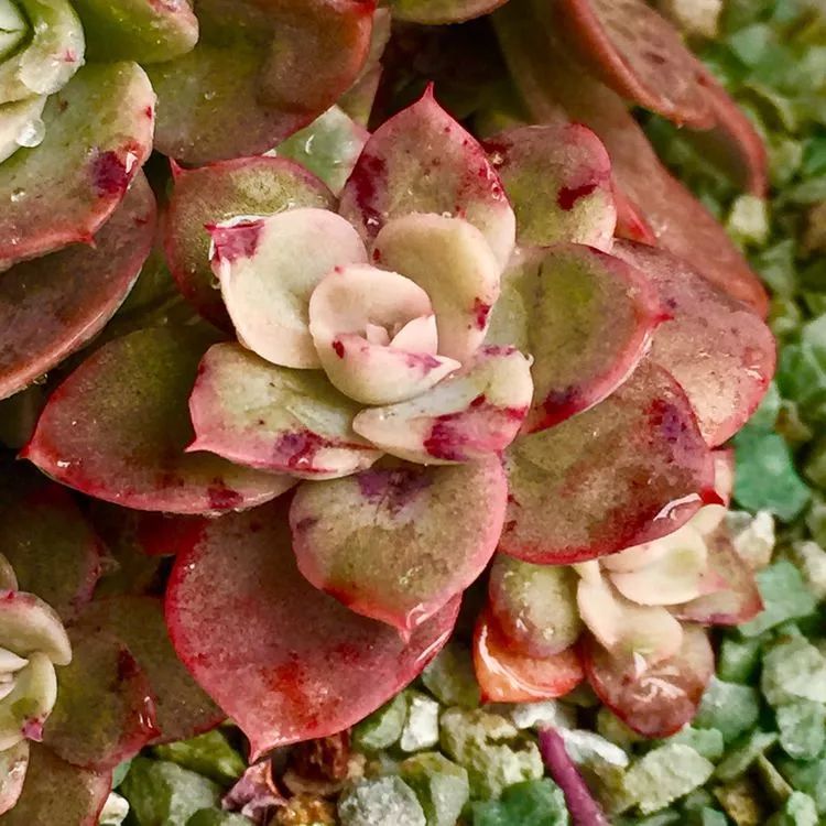 记录走过的美景留下美好的回忆,记录走过的每一段美好时光