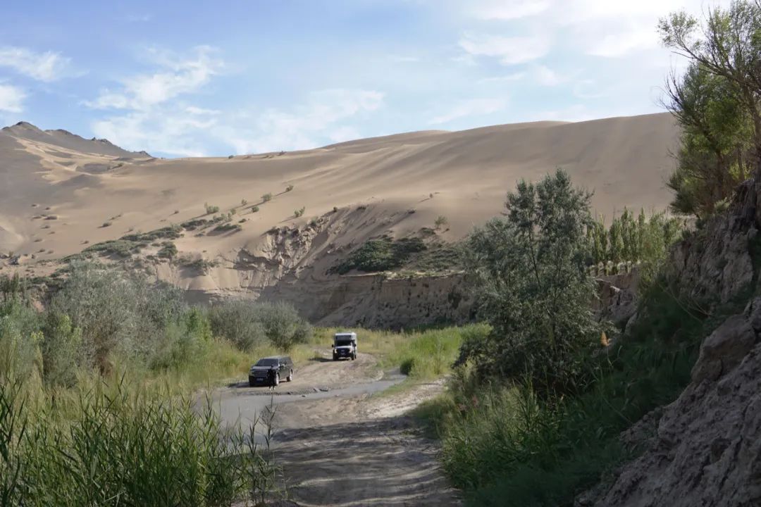 茫崖艾肯泉夏季游攻略,青甘大环线艾肯泉