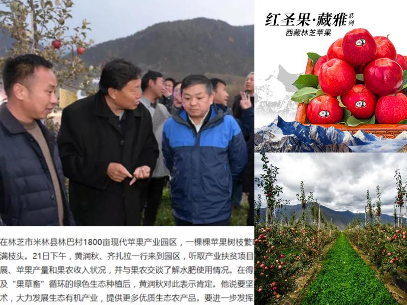 藏雅圣果，来自*藏西**林芝雅鲁藏布江苍天大地的恩赐守护