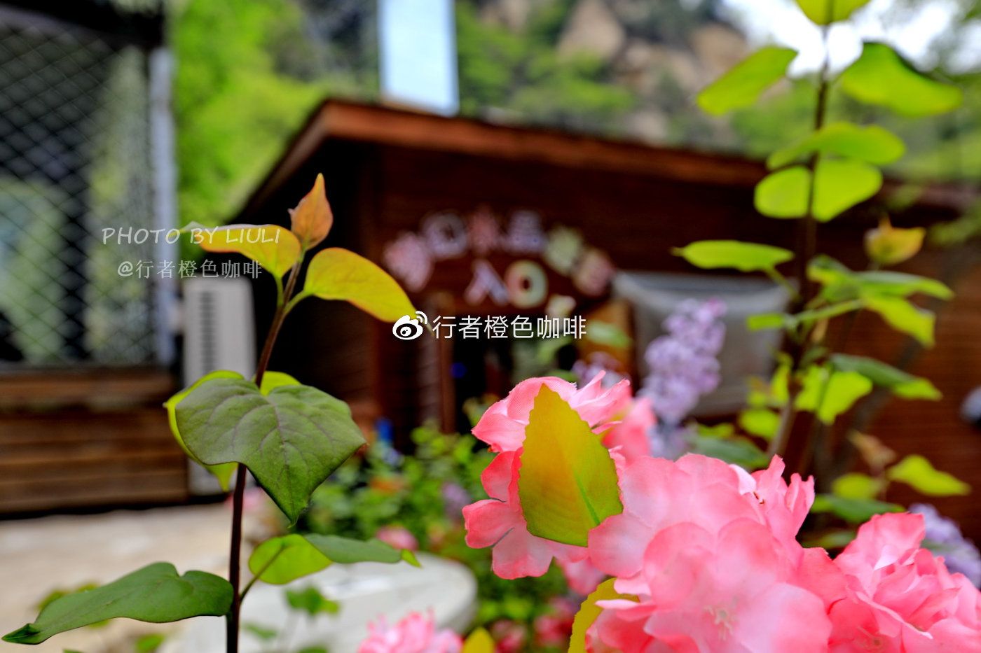 滑水冲浪刺激视频,北京密云清凉谷游玩攻略