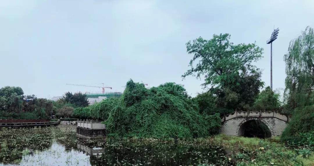 鍙屾祦鍛ㄨ竟缇庨鍏洯,鎴愰兘鍙屾祦缇庨鍏洯