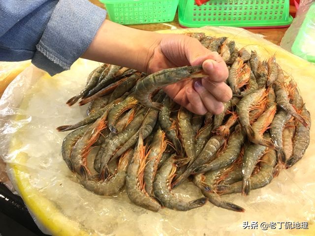 中国海鲜地图,中国海鲜最多地区