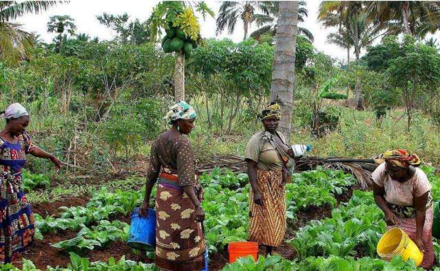 大量华人奔赴非洲,并表示过得太舒服,这到底是为啥?