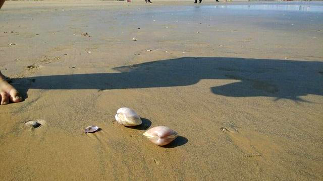 开封自驾日照途中好玩的地方 (开封附近一日游自驾游推荐)