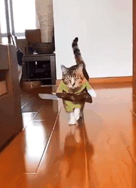 搞笑gif第八期,搞笑gif第三弹