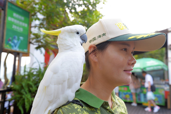 海南呀诺达热带雨林文化旅,三亚诺达雨林旅游攻略