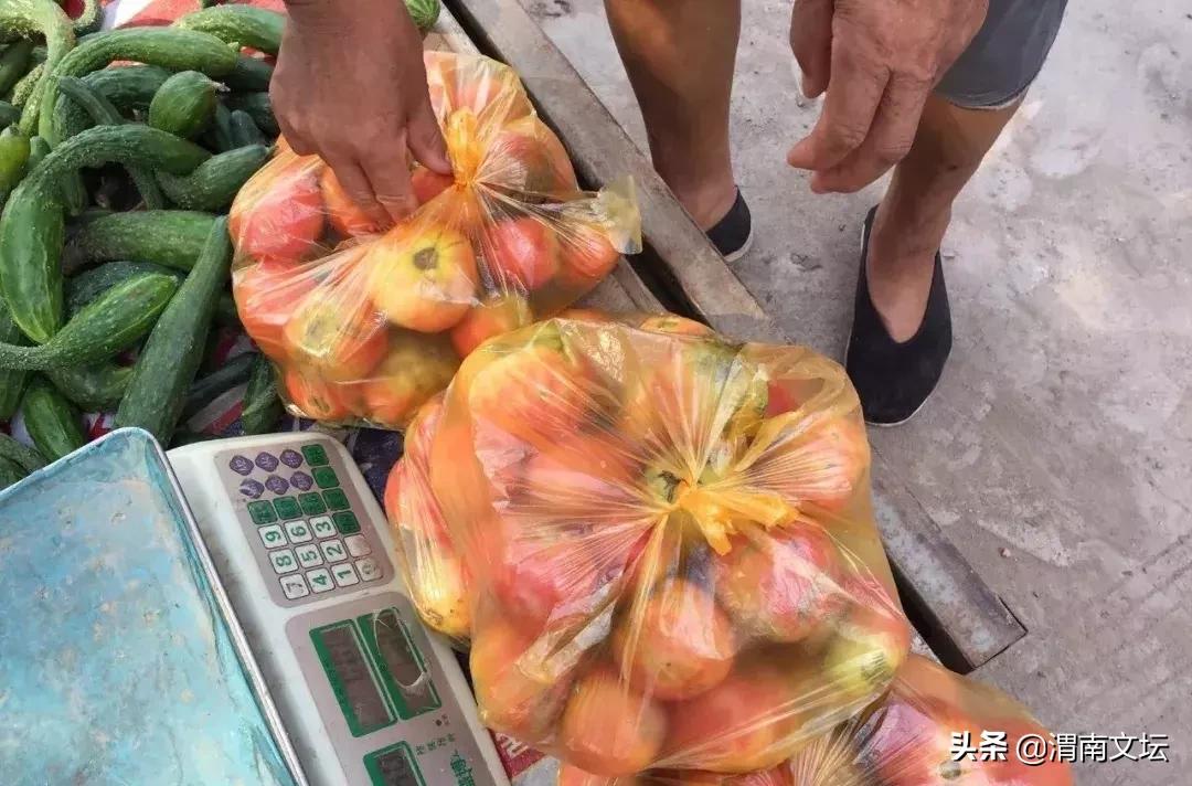 渭南阳郭贺家，我可爱的家乡