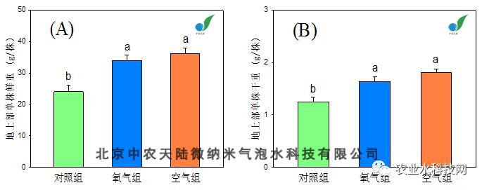 营养液在无土栽培的时候怎么增氧,无土栽培的营养液是怎么配制