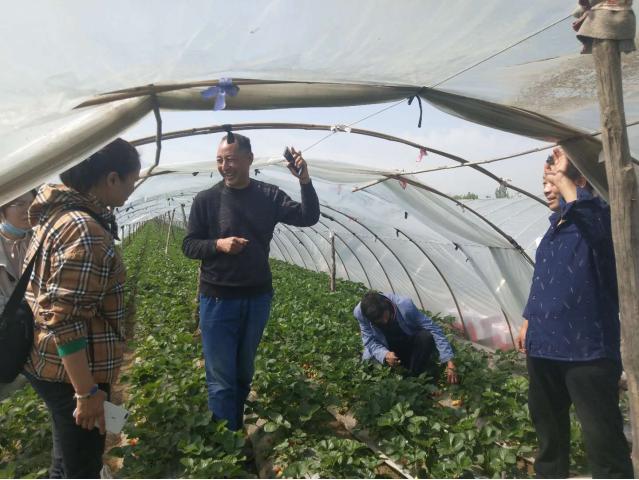 堪称样板！这家合作社有“独门秘笈”，还是有“高人指点”