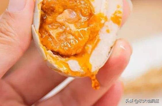 广西北部湾红树林海鸭蛋央视,广西红树林海鸭蛋视频