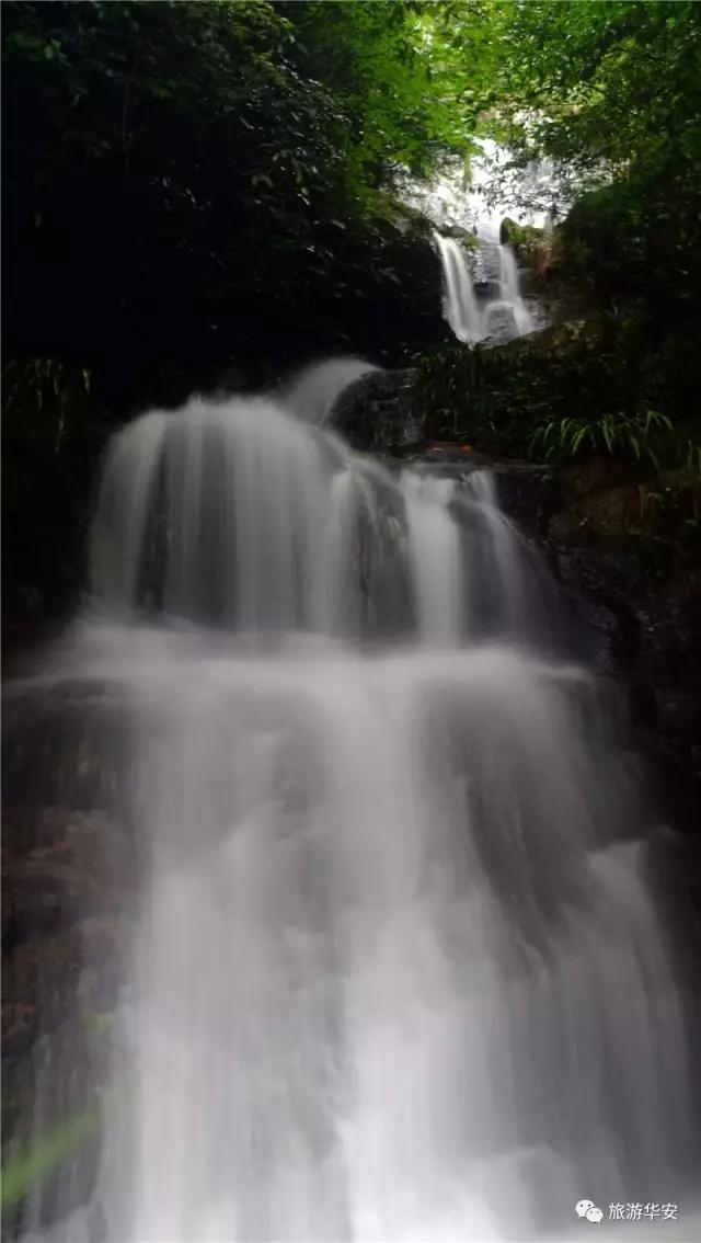 春风十里不如你，我在华安等着您