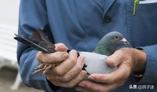 缁忛獙浜掗壌,缁忛獙姝ｄ氦鍑芥暟