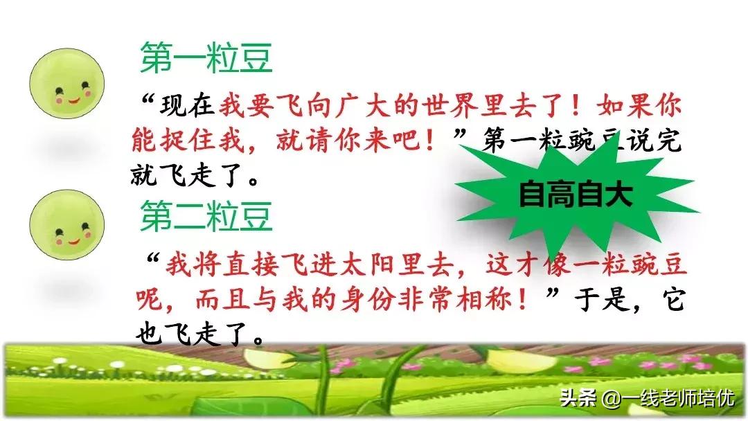 四年级上册豆荚里的五粒豆笔记,一个豆荚里的五粒豆四年级课文
