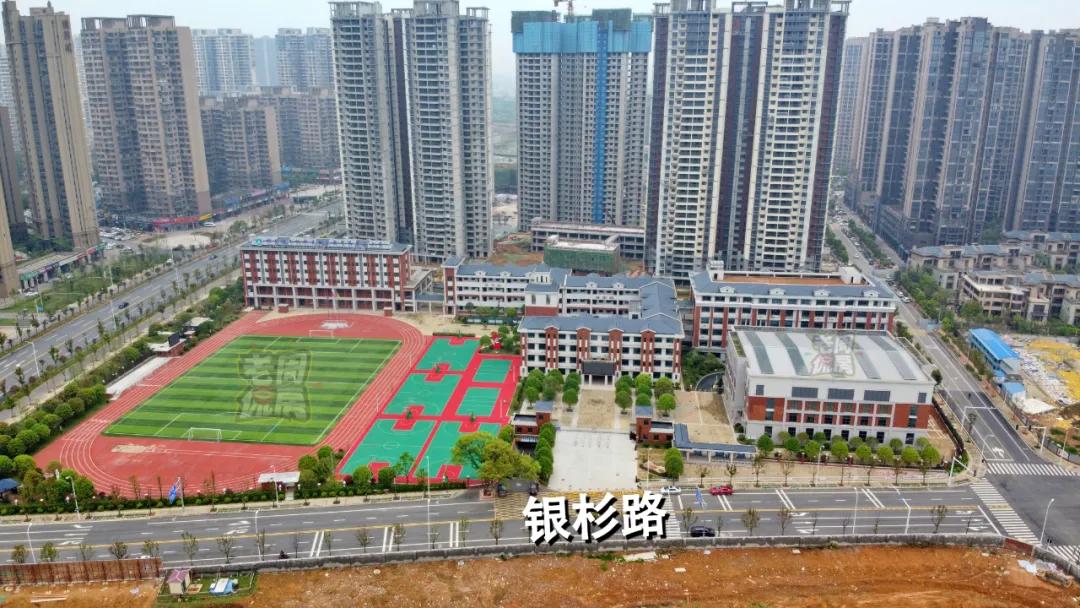 月亮岛双盘哪个楼盘好,月亮岛新楼盘推荐