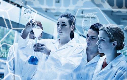 sod玉米胚芽粉到底是什么,sod是啥