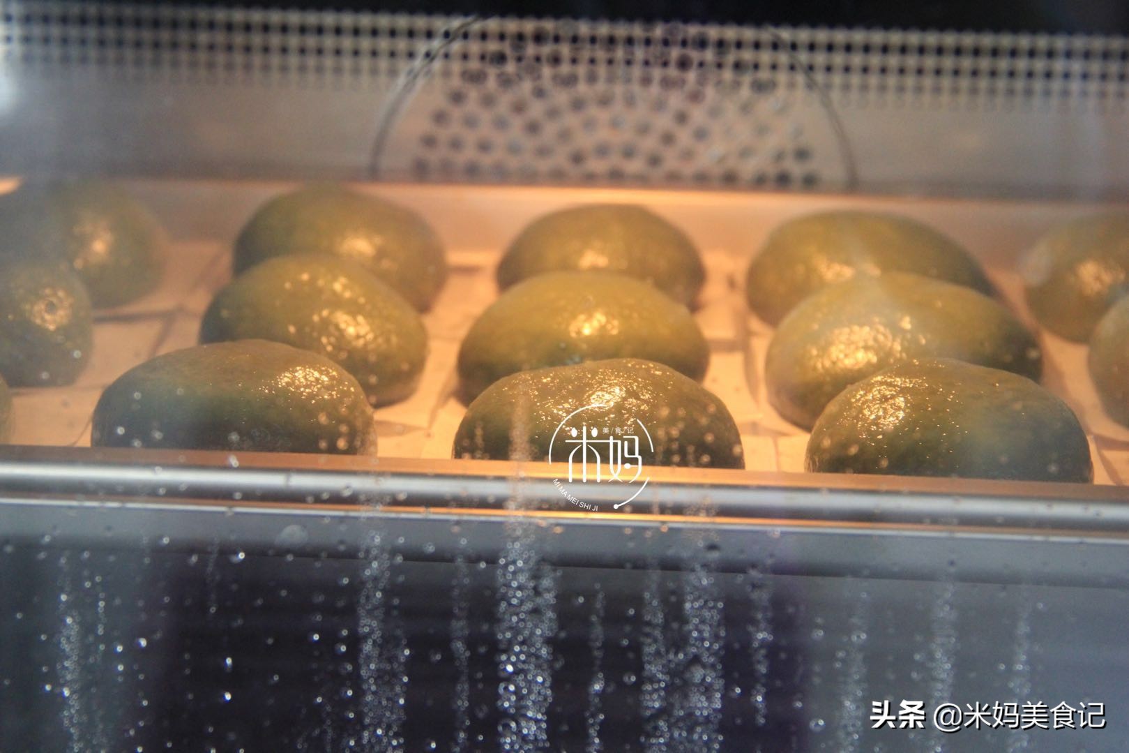 清明节前后有什么野菜可以吃,清明吃的野菜大全