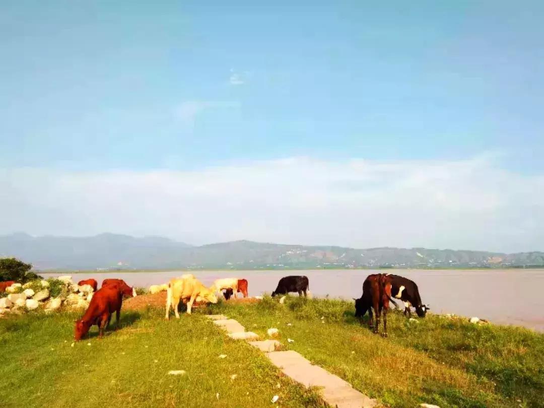 大荔美吗,大荔县的美