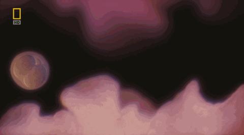 张院讲短视频,张院最新讲述视频