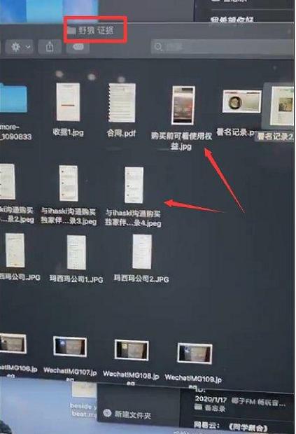 野狼disco版权归属最终判决,野狼disco宝石gem解析