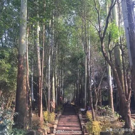 成都周边爬山的好地方人少免费,大年初一成都周边登山游一日游