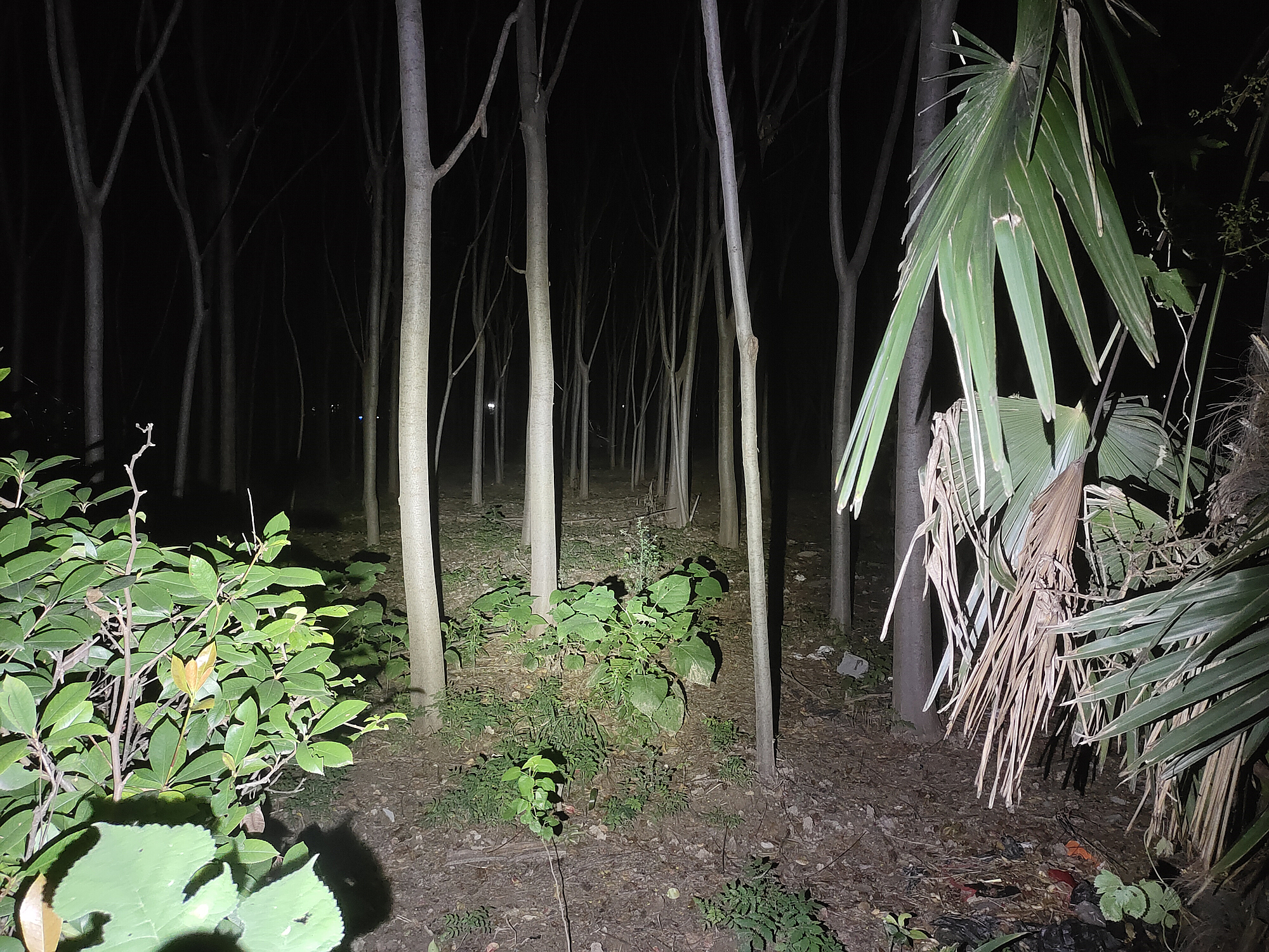 m3pro2鎵嬬數,鍦ㄨ矾涓婃墜鐢祄3pro