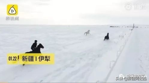 2020年1月27日新疆时政要闻,7月1日新疆新闻重点内容