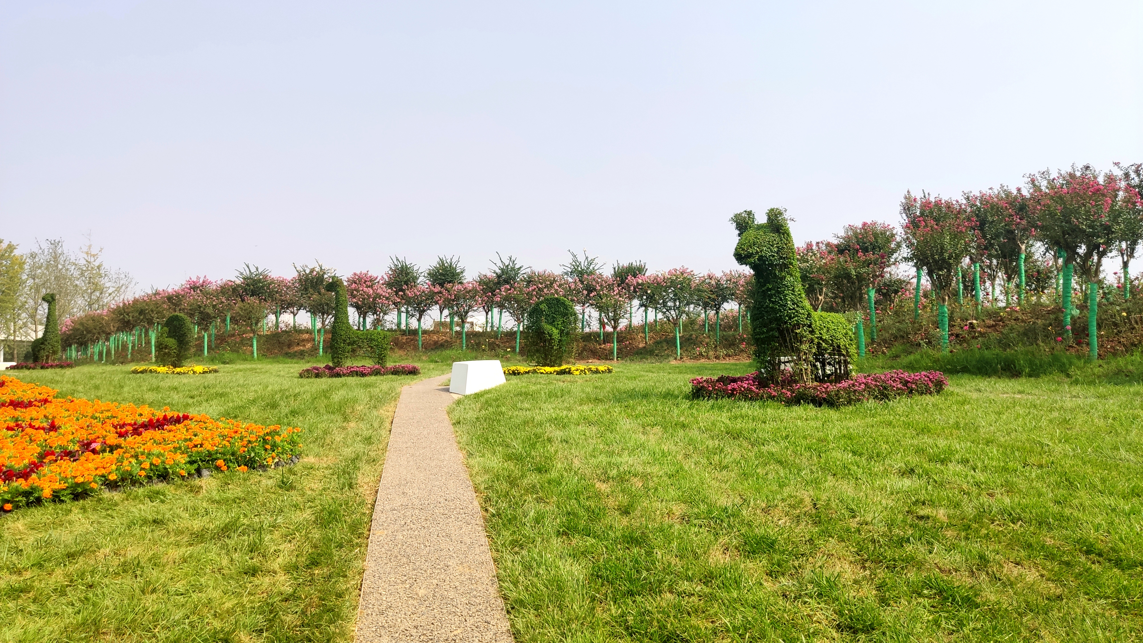 家门口的生态公园，西安最大的城市生态公园开园了