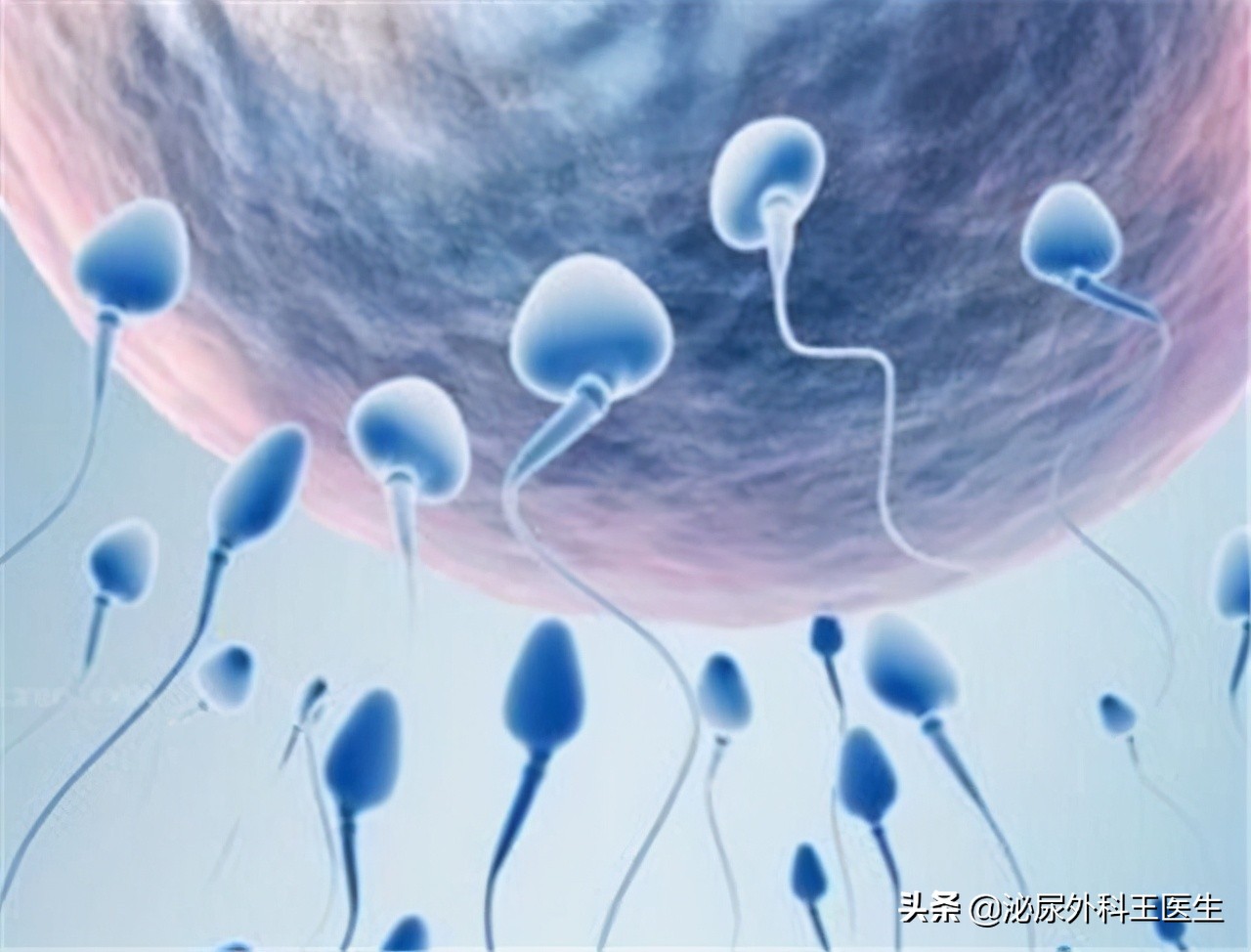 影响精子质量都有哪些因素,精子质量差如何提高精子质量