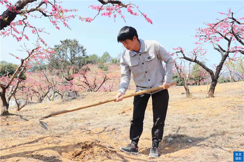 80后放弃广州高薪回家创业,放弃深圳高薪回家农村创业