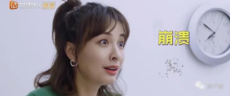 负债央视新闻,央视报道负债