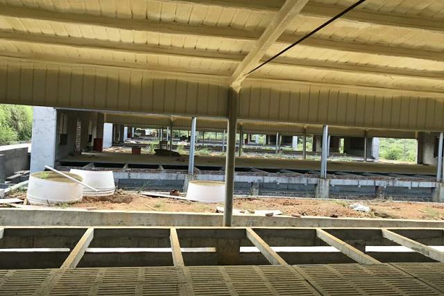 猪舍搭建的十大禁忌,建设猪舍最新政策