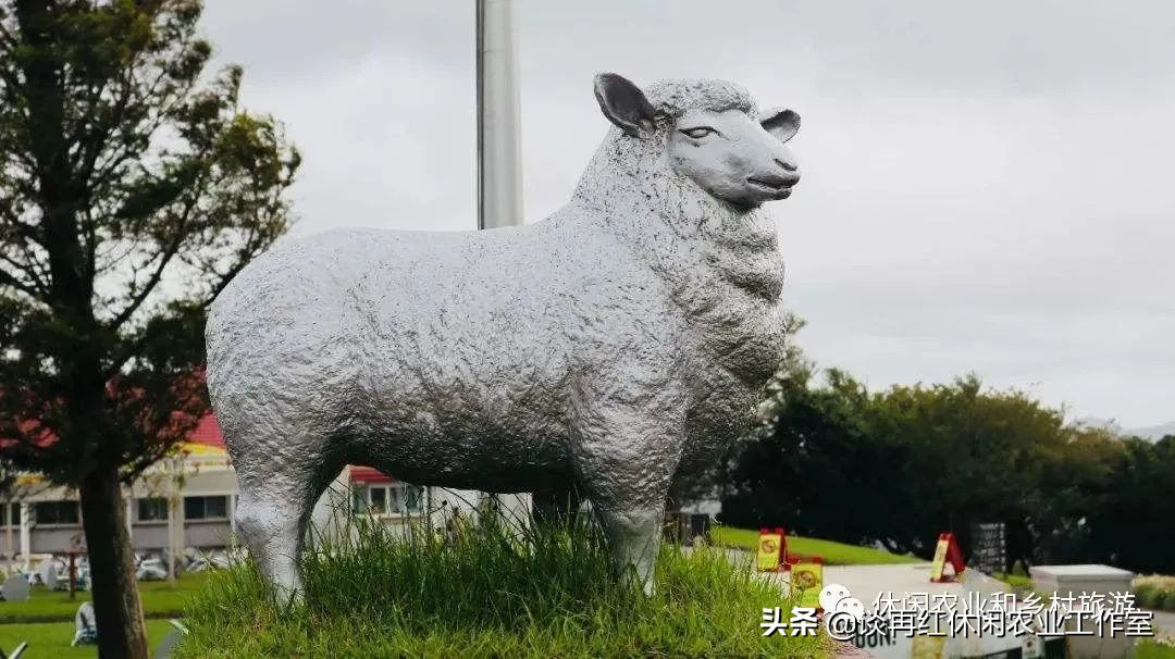 旅居生活新西兰,旅居在新西兰