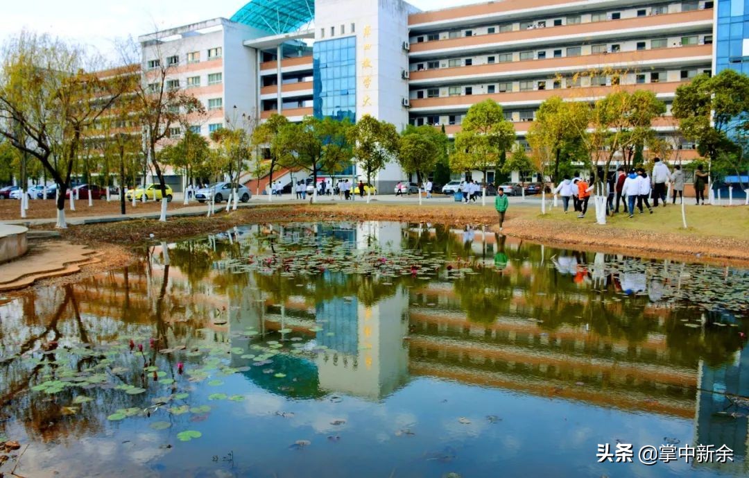 一起见证一所学校的成长,一起见证你的成长视频