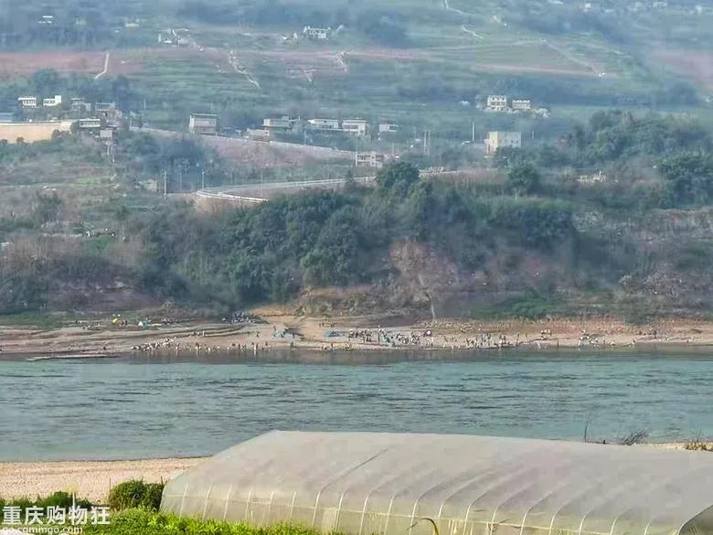 巴南鱼洞户外好耍的地方,巴南鱼洞周边一日游的绝佳去处