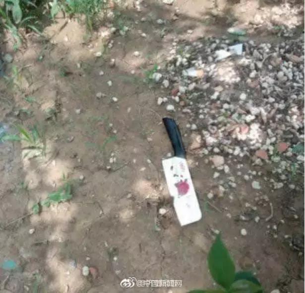 常州奔驰撞人事件车主担责了吗,江苏常州奔驰撞人最新进展