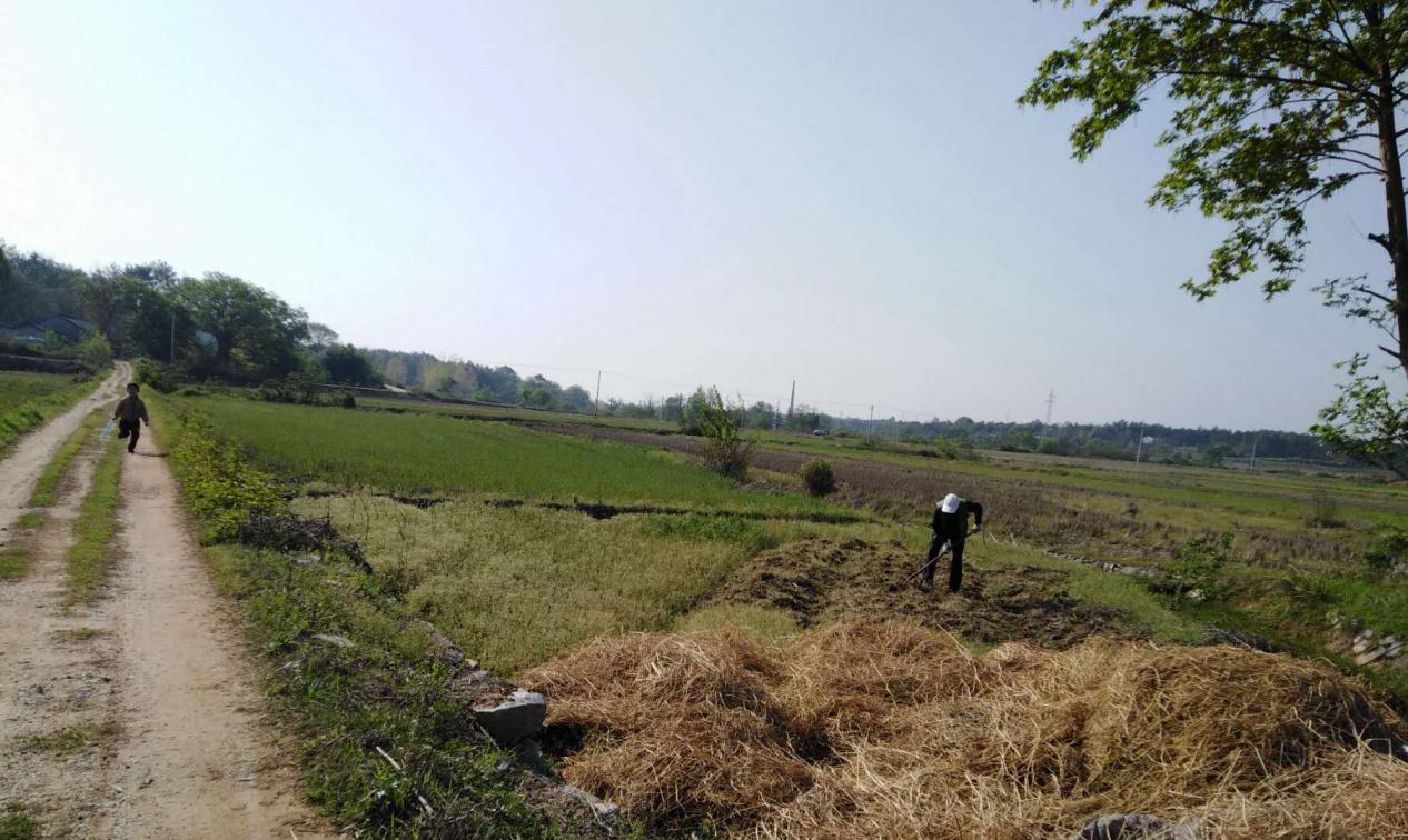 致富的金钥匙,特色农业是打开致富门的金钥匙