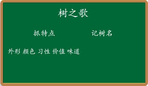 二年级语文树之歌第二课时教案,二年级上册语文第二课树之歌生字