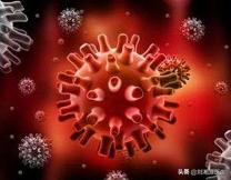 免疫相关不良妊娠答疑解惑,torch五项风疹病毒阳性