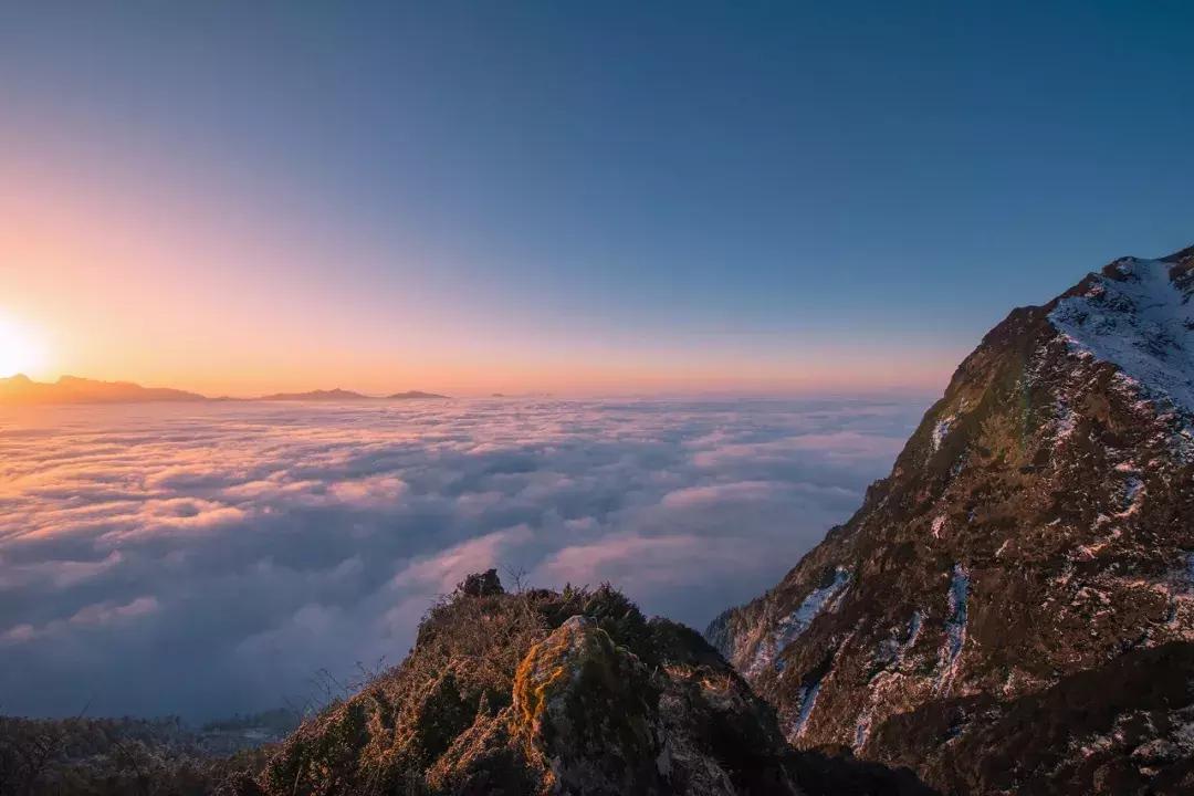 成都自驾百里杜鹃旅游攻略,万亩杜鹃花在青山幽谷