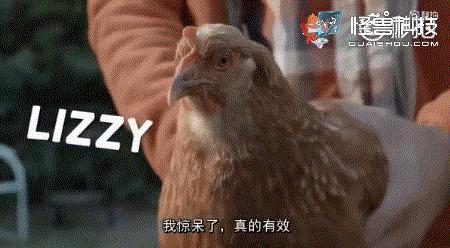 为了拍照防抖，有人叫了一只鸡...