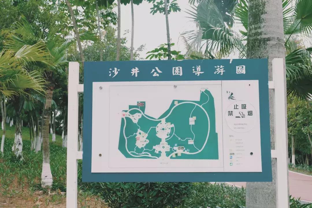 每个地方都有个沙井,好多地方叫沙井