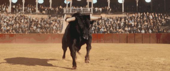 史上最贵的网费,中国最贵的网