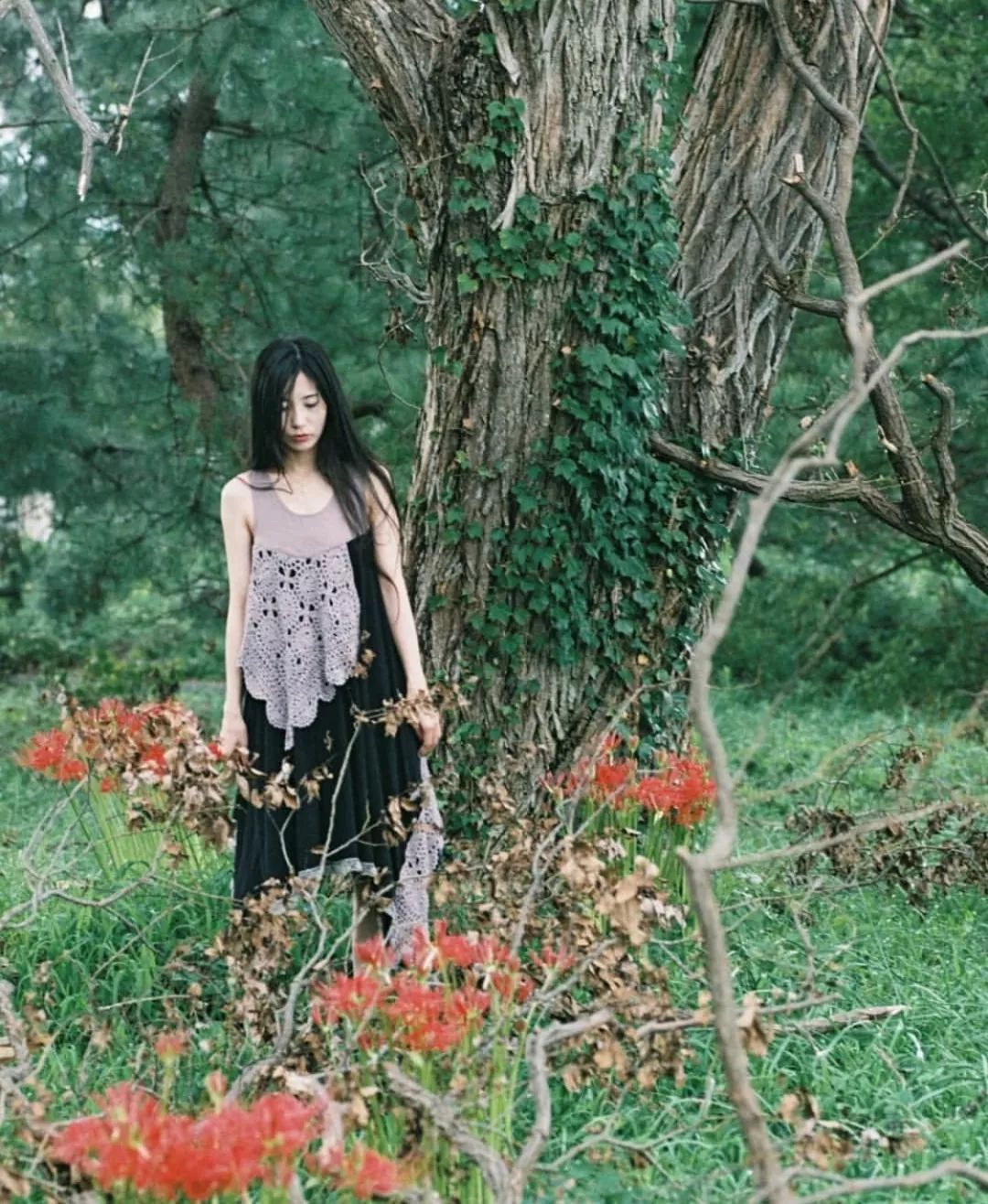 看惯了千篇一律,看惯了千篇一律的风景